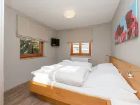 Chalet in Dienten on Hochkönig Ski Slopes