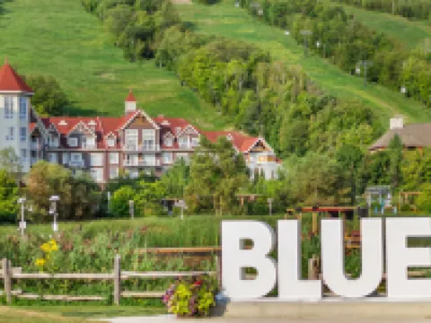 Historic Snowbridge Townhomes Hotels in Blue Mountains