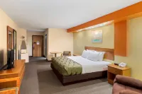 Quality Inn Hotels in Guin