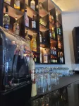 Sago Palm Hotel - Bares
