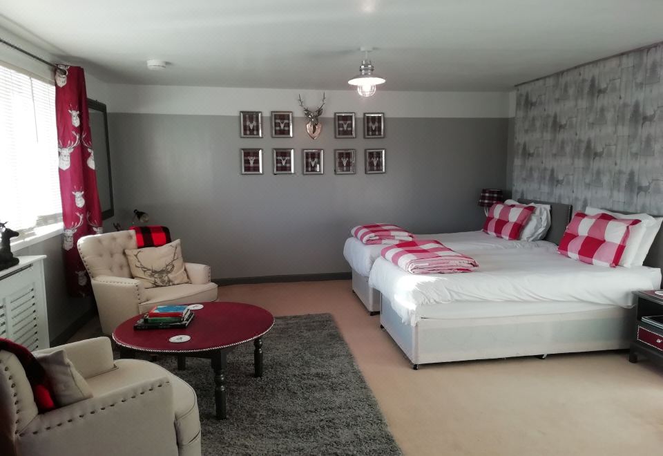 3. 아가일 게스트 ..