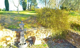 Getaway Amidst Vineyards