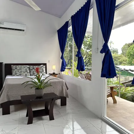 Hotel Serendipity Tortuguero Отели в г. Колорадо