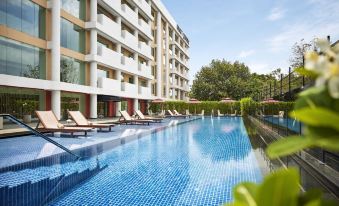 Hyatt Centric Sector 17 Chandigarh