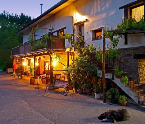 Agroturismo Sidreria Txindurri Iturri - Wifi