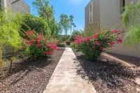 Maya Motel