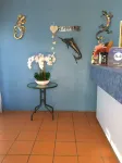 Black Marlin Motel Hotels in Mighell