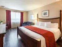 Hotel Ambassadeur et Suites Hotels near Maizerets