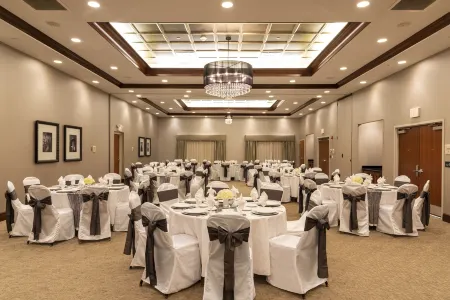 Hilton Garden Inn Columbus/Edinburgh