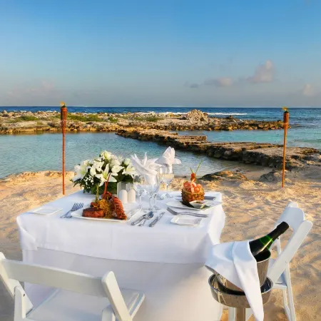 Catalonia Yucatan Beach - All Inclusive