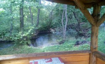 Plitvice Mountain Spring