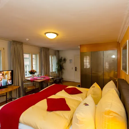 Hotel Goldener Falke