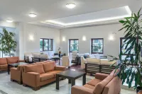 Creta Palm Resort Hotel & Apartments Hotels in Stalos