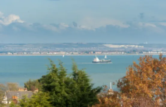 홀리 트리 하우스