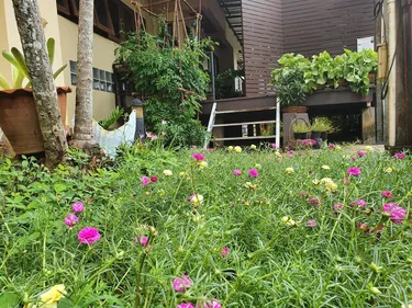 รูปภาพของริทชี่เฮ้าส์ Ritzy House Hotel