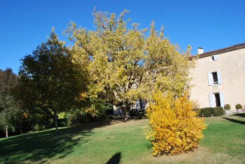 Domaine la Bastide Отели в г. Моризес