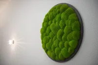 Platzhirsch Hotel Hotels in Bornheim