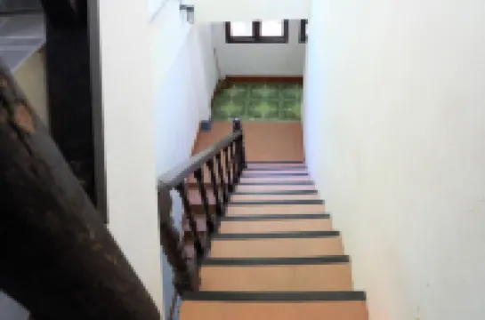 มิสหงษ์เฮาส์