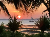 Milele Villas - Villas