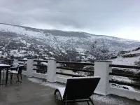 阿爾法加安東尼飯店 - 山景