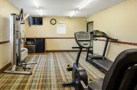 Quality Inn & Suites I-81 Exit 7 - Gym