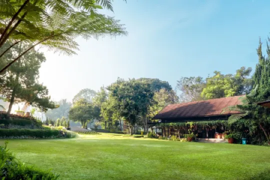 Green Forest Resort & Wedding
