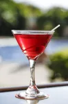 Hilton Garden Inn Guanacaste Airport - bar