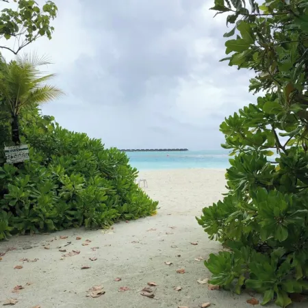 Dhiffushi Tourist Hotel