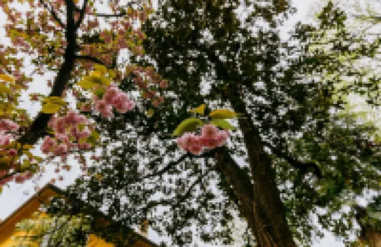 Afrodite Apartment with Jacuzzi by Wonderful Italy