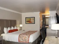 Hotel Aria Hotele w: Mountain View