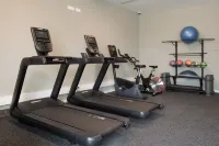 Tembo Barcelona - Gym