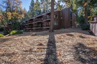Elmer's Hideout - Fully Renovated Yosemite Escape!