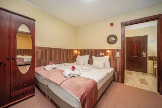 維斯塔溫泉飯店 住宿飯店