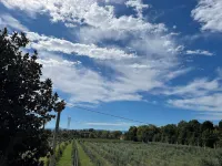 B & B Verde Natura Hotels in Savignano sul Panaro