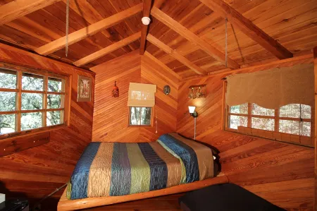 Out 'N' About Treehouse Treesort