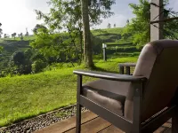 Tea Garden Resort