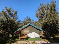 Apple Orchard Farm and Camping Hotels in Kullu