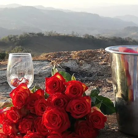 AtNature Luxury Self Catering Cottages