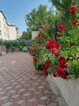 Z&B Home - Villas