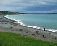 Cozy basement apartment suite, beautiful Paradise! Hotels in Paradise