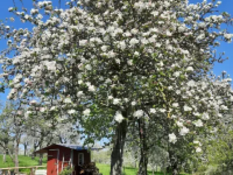 Modern vacation apartment "Lamm" 2 - 3 persons Hotels in Sinsheim