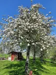 Modern vacation apartment "Lamm" 2 - 3 persons