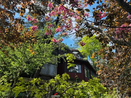 Beautiful, quiet place to stay with lovely beach access and stunning views. Отели рядом с достопримечательностью «Суорц Бэй Терминал»