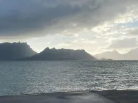 The Palms on Bermuda:A tropical Oasis 100m to the Harbour’s edge. 원 트리 포인트 호텔