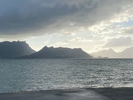 The Palms on Bermuda:A tropical Oasis 100m to the Harbour’s edge. Отели в г. Уан Три Пойнт