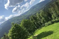 Spacious, light-flooded vacation apartment furnished with attention to detail Hotels in Mauth