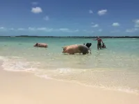 Lovely 2-bedroom cottage with sea views located in Exuma, Bahamas