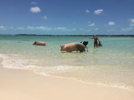 Lovely 2-bedroom cottage with sea views located in Exuma, Bahamas