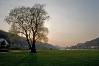 Apartments Family Füssel Hotels in Bad Schandau