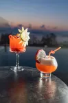 Ames Hotel & Spa - bar